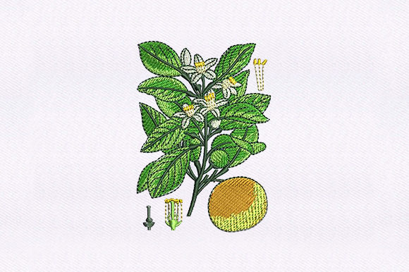 Reviewing Floral Vines Orange for Real Projects